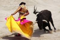 sejour groupe seville feria corrida arene taureau