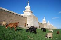 circuit mongolie groupe steppes monastere